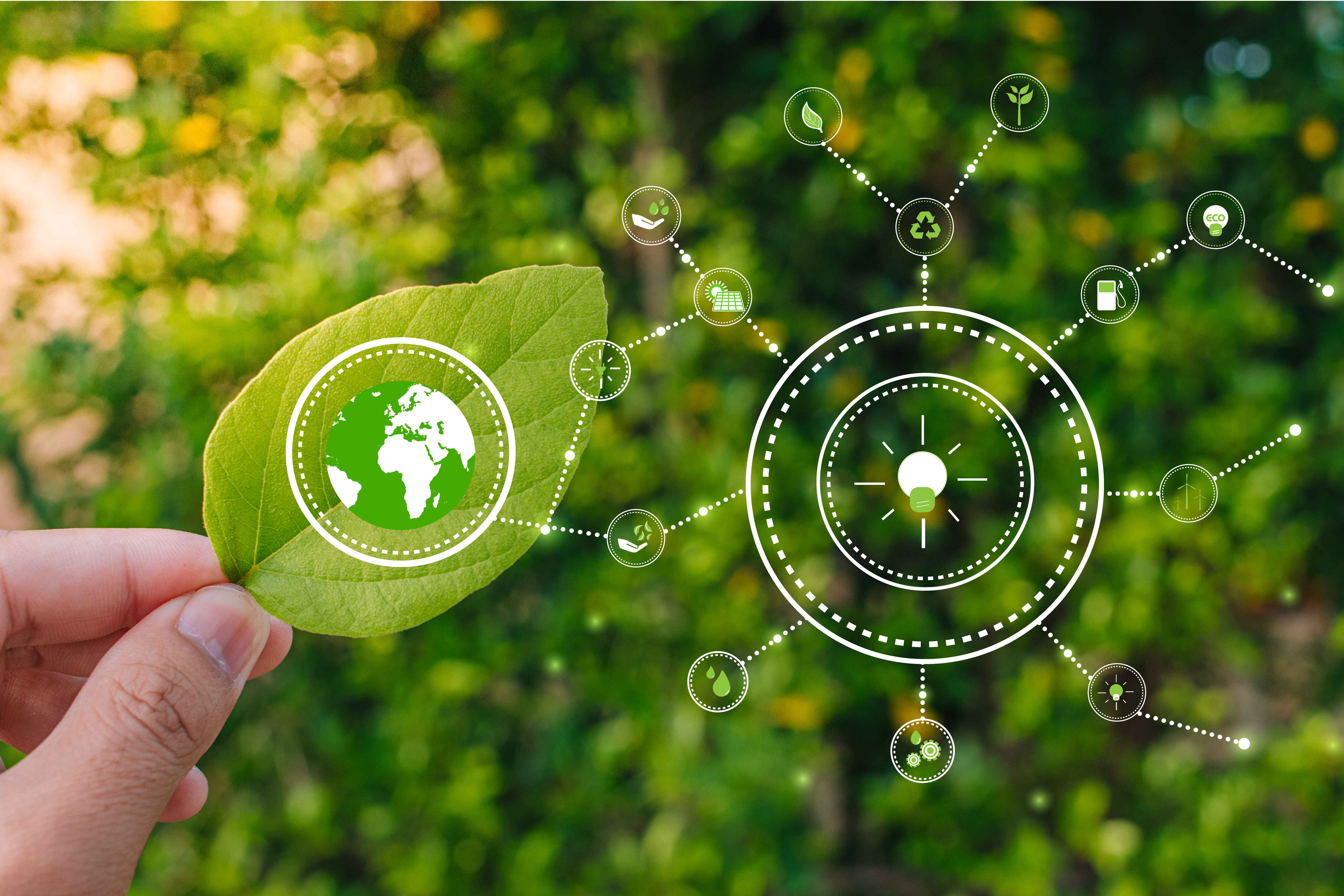 vecteezy_hand-holding-young-plant-against-green-nature-leaves_8920113%20%282%29.jpg