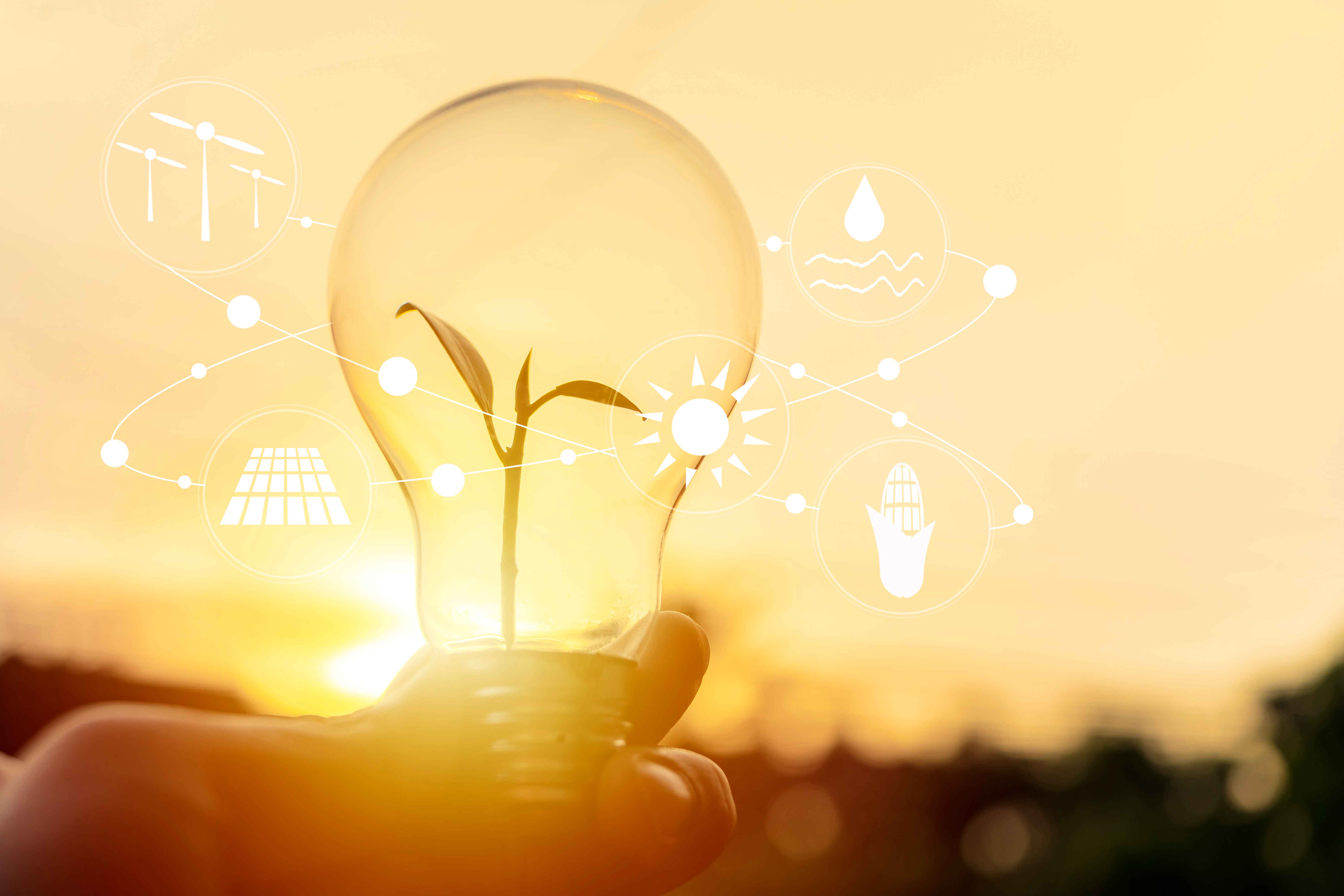 vecteezy_hand-holding-light-bulbt-ecology-concept_47924867%20%281%29.jpg