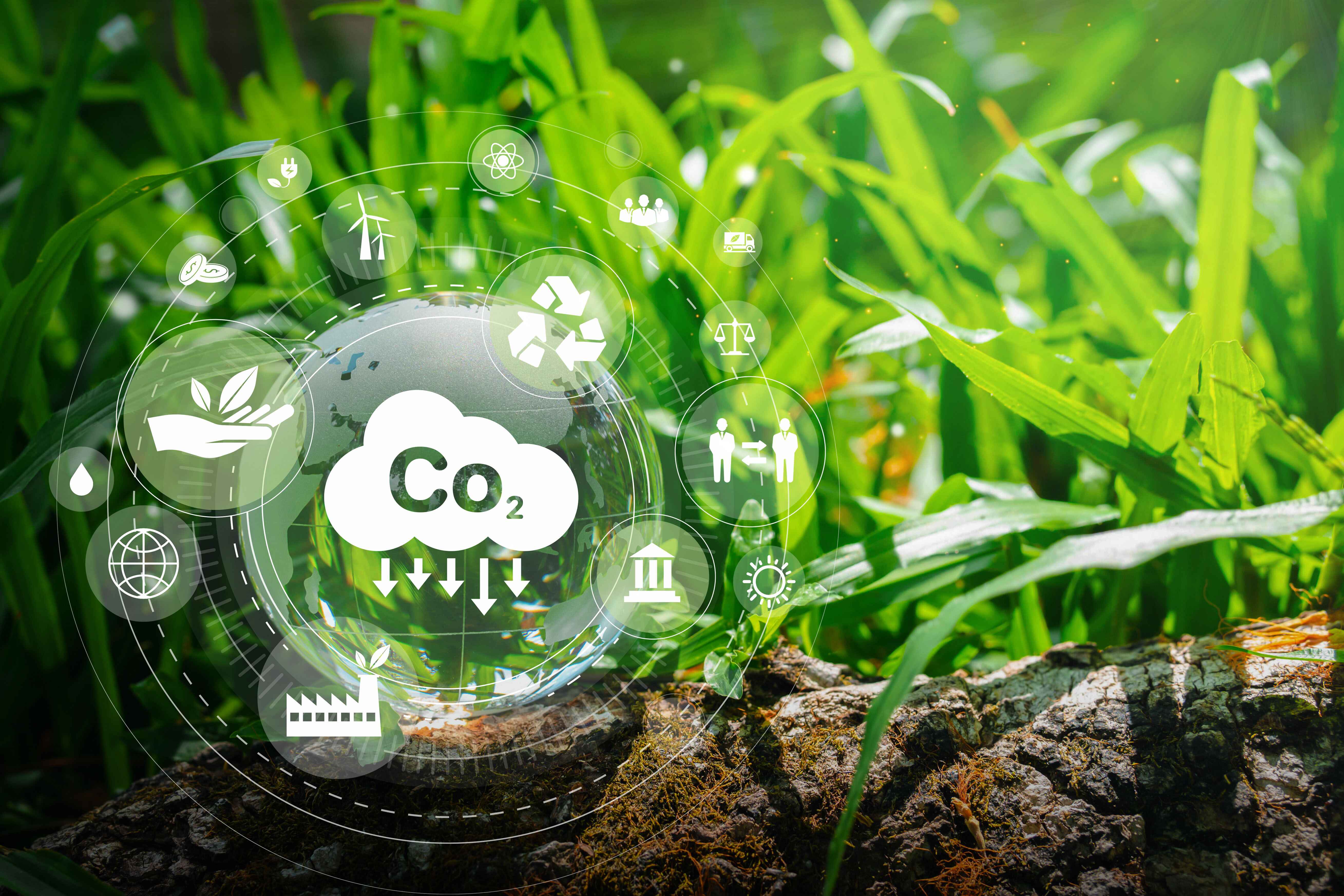 vecteezy_developing-sustainable-co2-concepts-and-renewable-energy_8563440%20%281%29.jpg